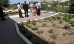  participants on the green roof